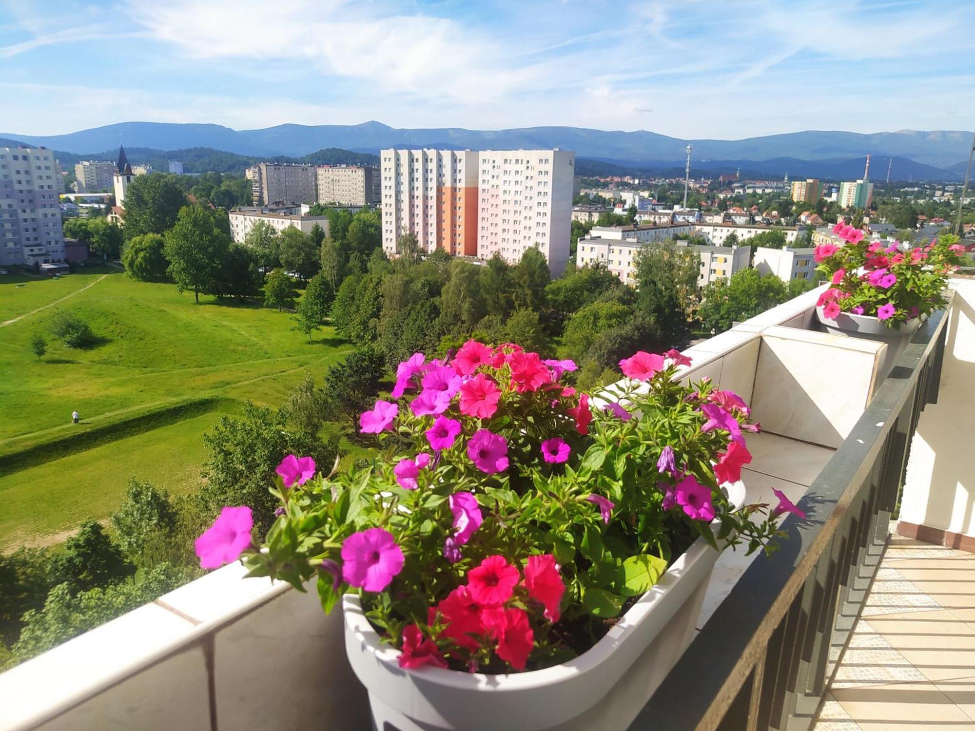 Apartament Z Widokiem Na Sniezke Jelenia Gora Exterior photo